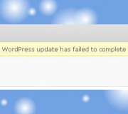 „Automatyczna aktualizacja WordPressa nie powiodła się” – co zrobić?