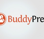 Spolszczenie do BuddyPressa 2.0.1