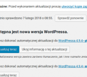 Fatalny błąd w WordPressie, kolejną aktualizację musisz zrobić ręcznie