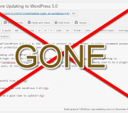 WordPress 5.0 z Gutenbergiem już dziś… ale wstrzymajcie się z aktualizacją
