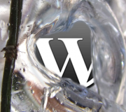 WordPress 3.3 zamrożony. Czego możemy się spodziewać?